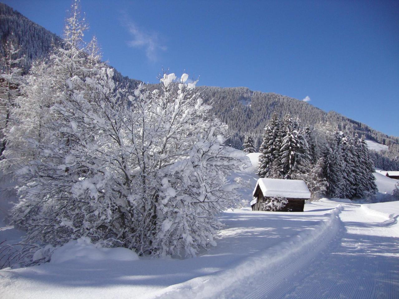 Haus Annemarie Apartments Kartitsch - Hochpustertal Exterior photo